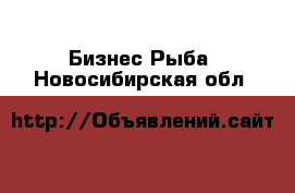 Бизнес Рыба. Новосибирская обл.